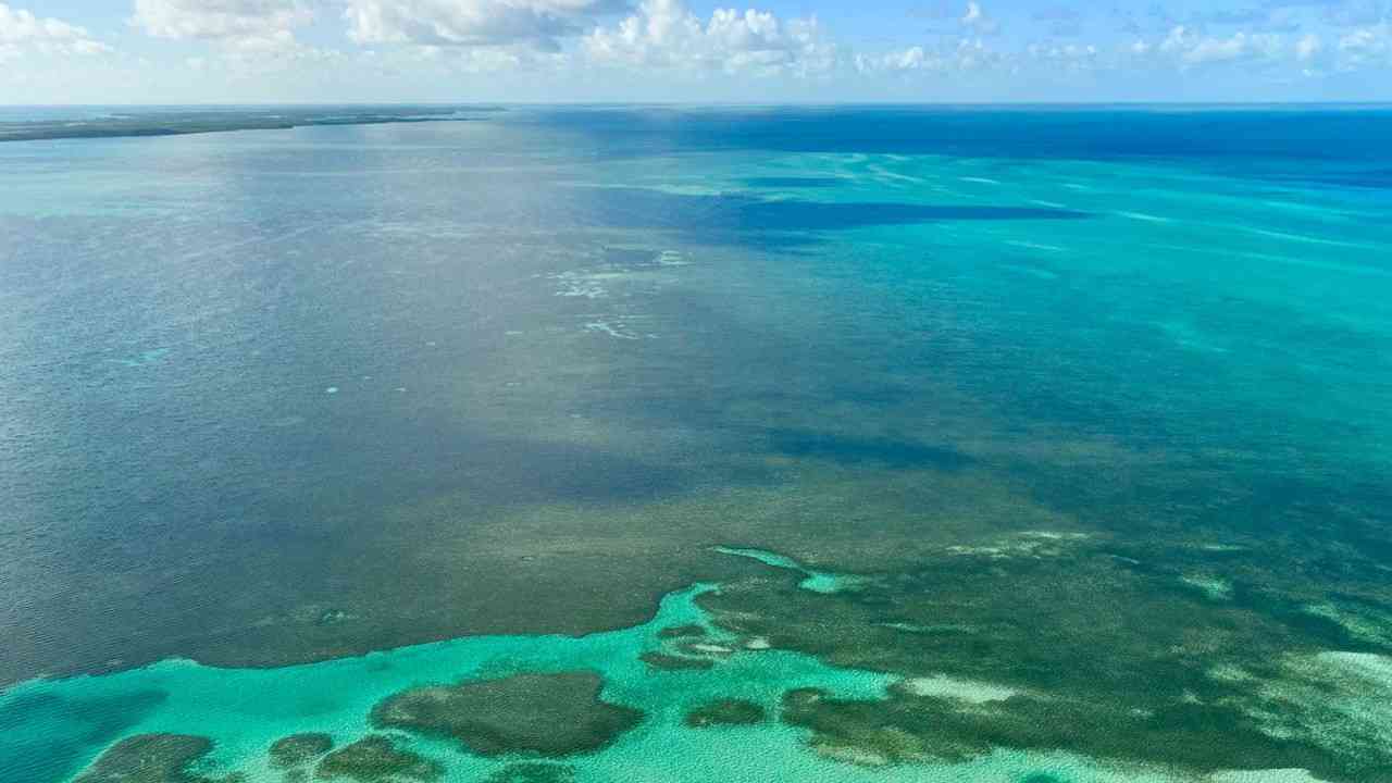 Rivermate | Bahamas
