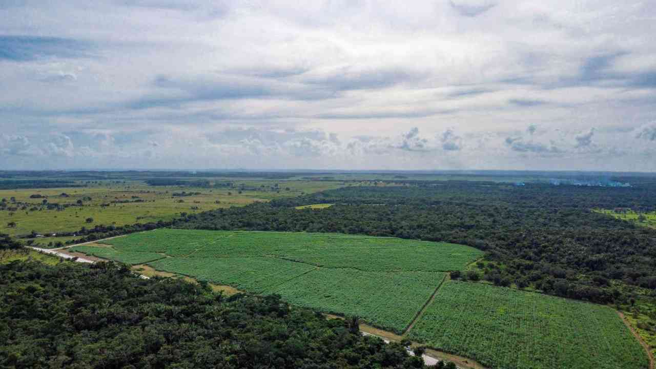 Rivermate | Guinea-Bissau