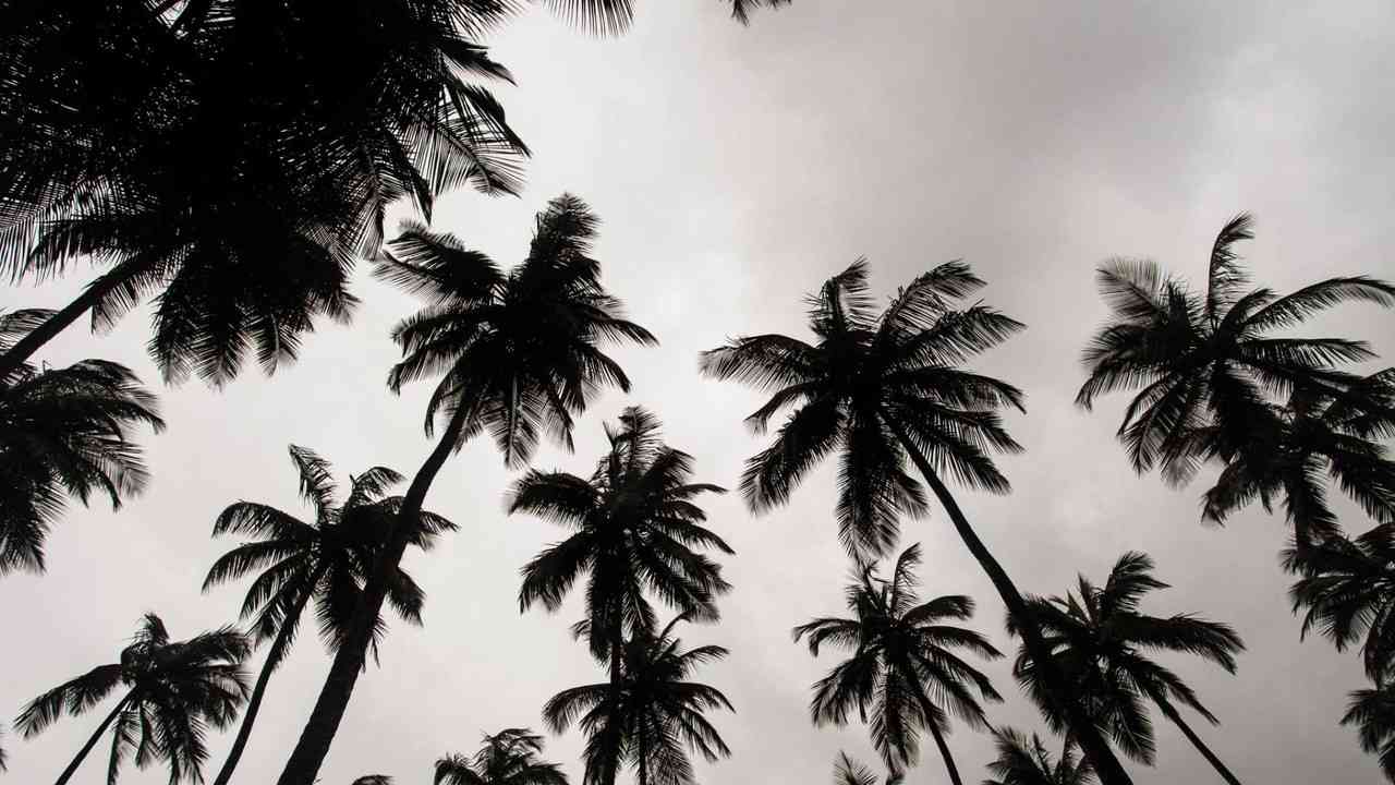 Rivermate | Liberia