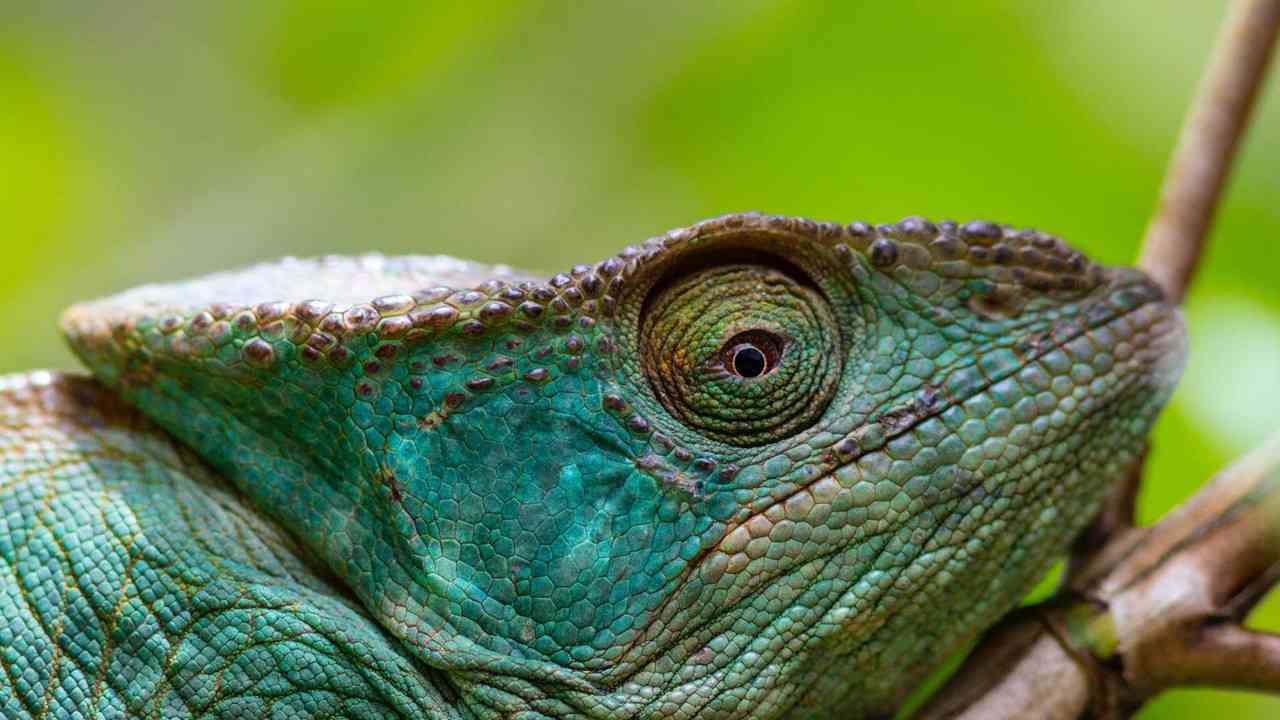 Rivermate | Madagaskar