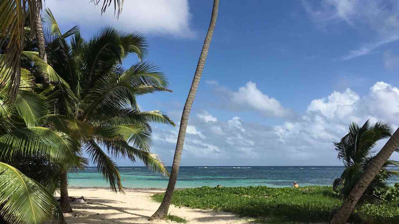 Rivermate | Martinique