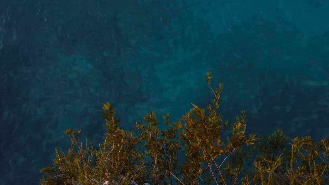 Rivermate | Turks- und Caicosinseln