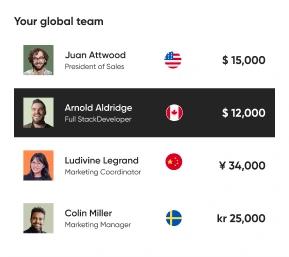 Global team