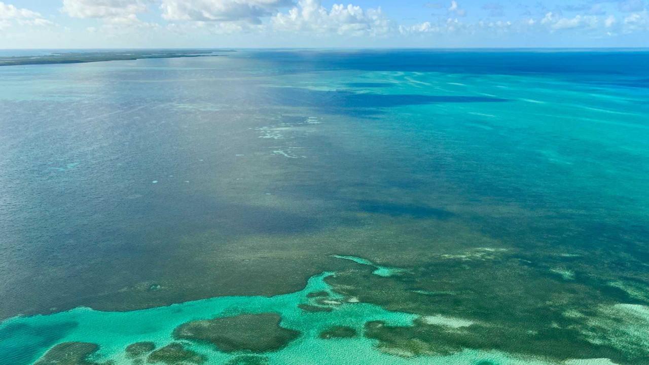 Rivermate | Bahama's landscape