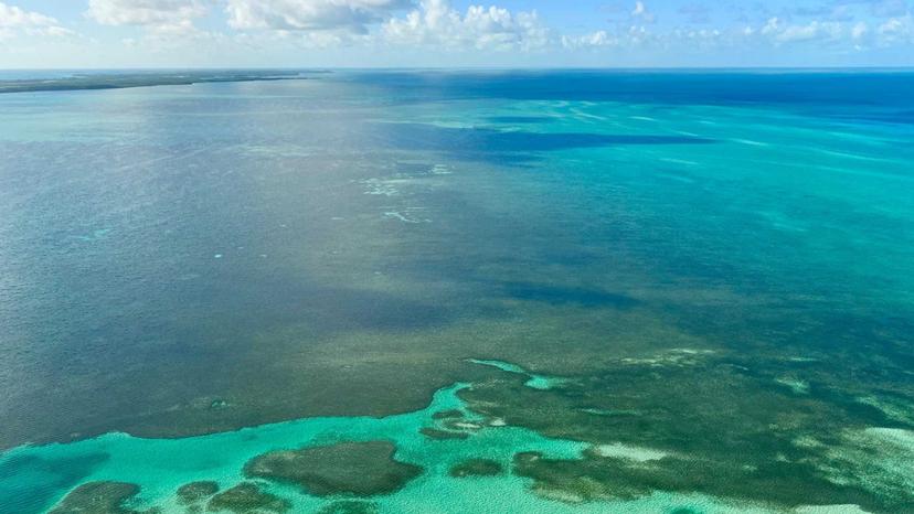 Rivermate | Bahamas