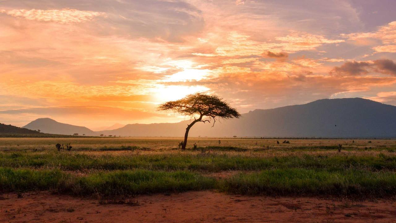 Rivermate | Central African Republic landscape