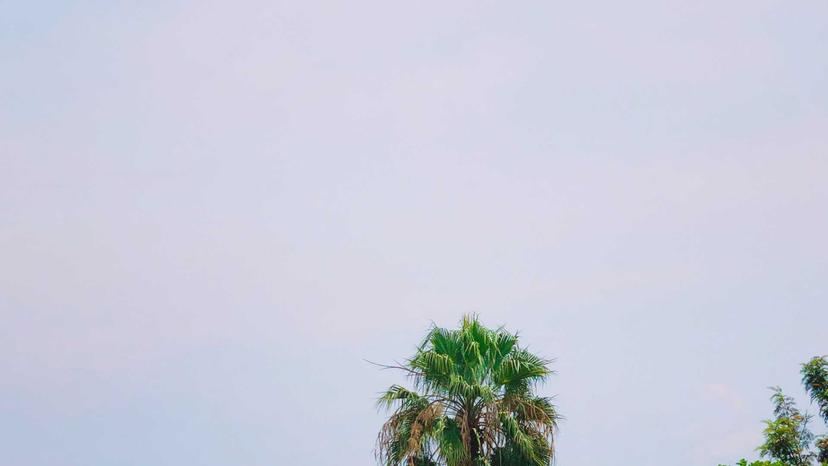 Rivermate | Congo (Democratic Republic of the)