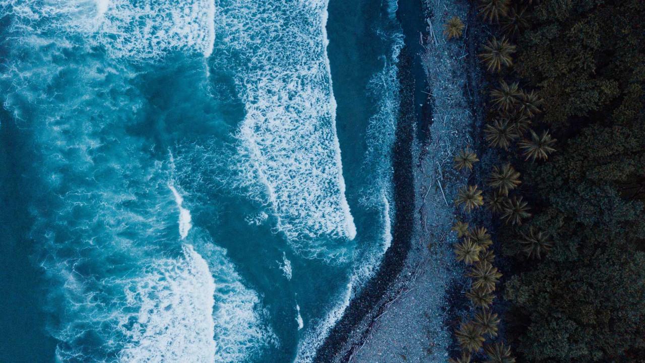 Rivermate | Dominica landscape