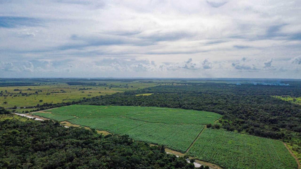 Rivermate | Guinea-Bissau landscape