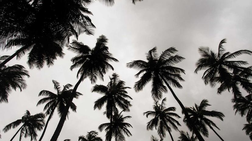 Rivermate | Liberia