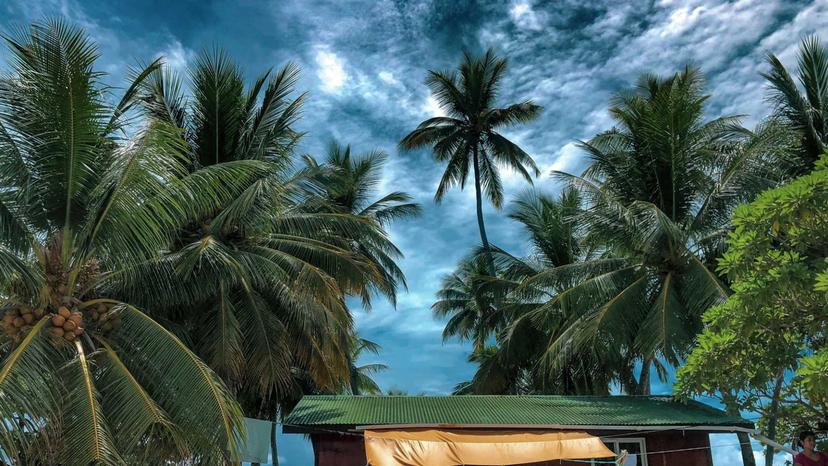 Rivermate | Micronesia