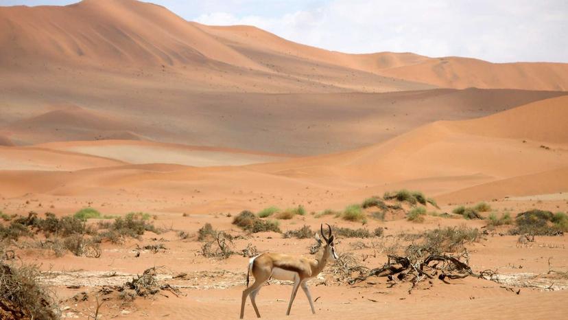 Rivermate | Namibia