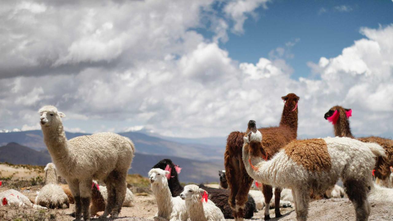 Rivermate | Peru landscape