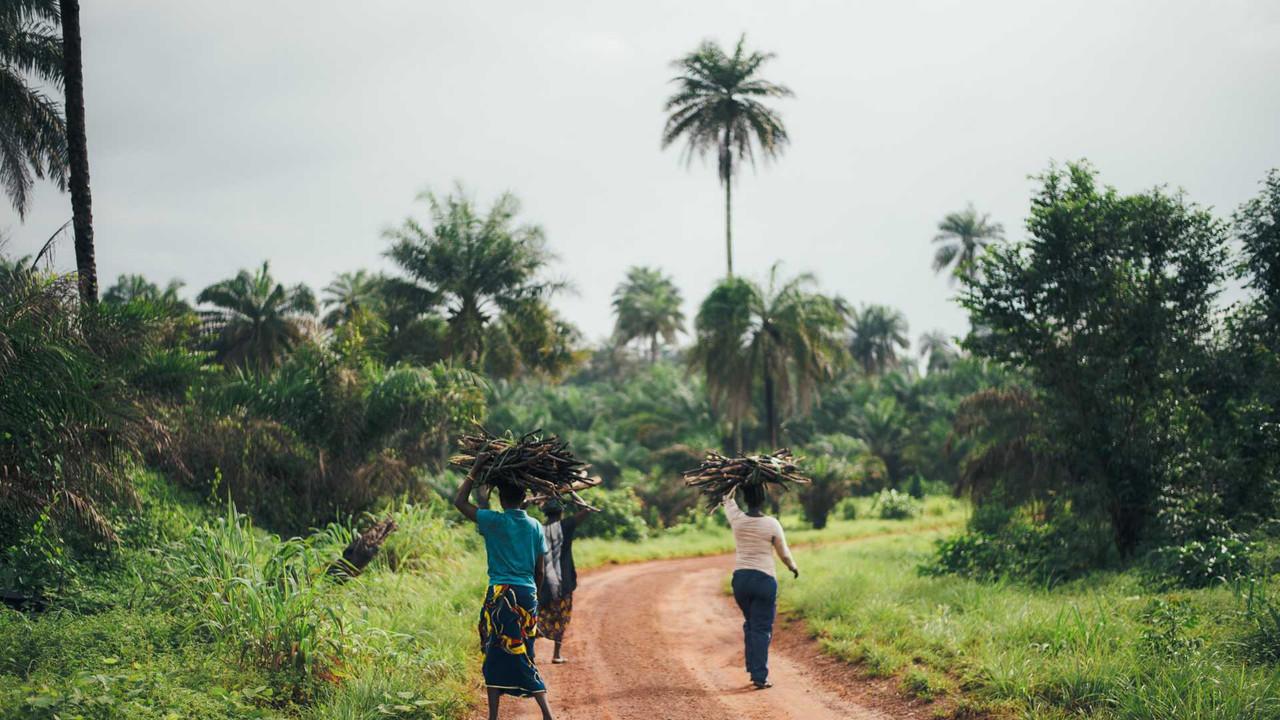 Rivermate | Sierra Leone landscape