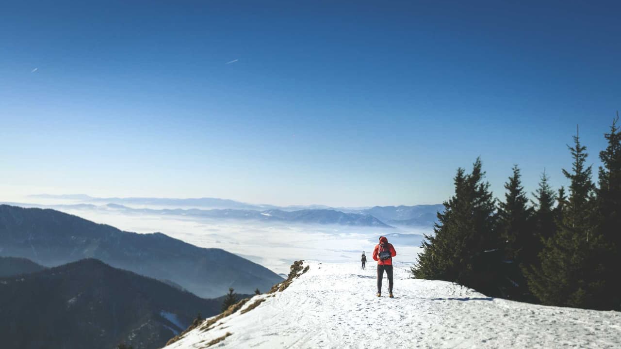 Navigating the Business Landscape in Slovakia: Essential Tips for Entrepreneurs - Cultural Considerations for Entrepreneurs in Slovakia