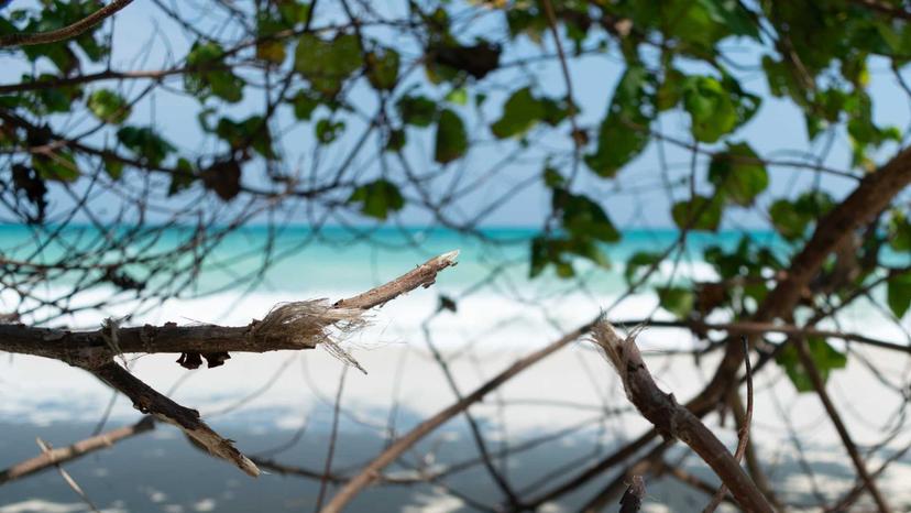 Rivermate | Solomon Islands