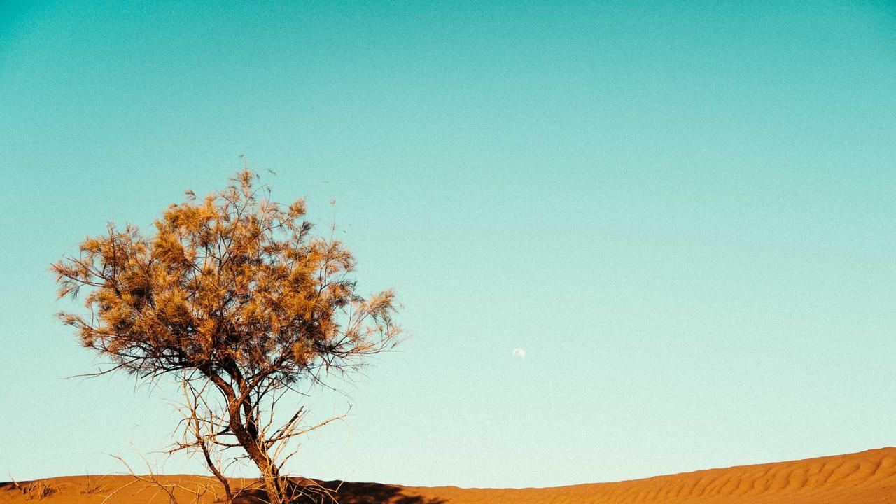 Rivermate | South Sudan landscape