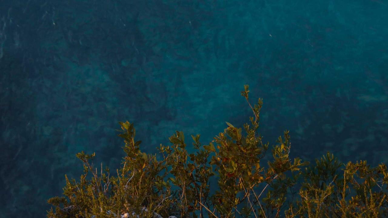Rivermate | Turks and Caicos Islands landscape