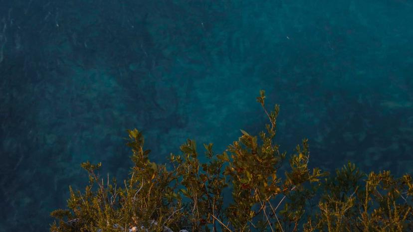 Rivermate | Turks and Caicos Islands