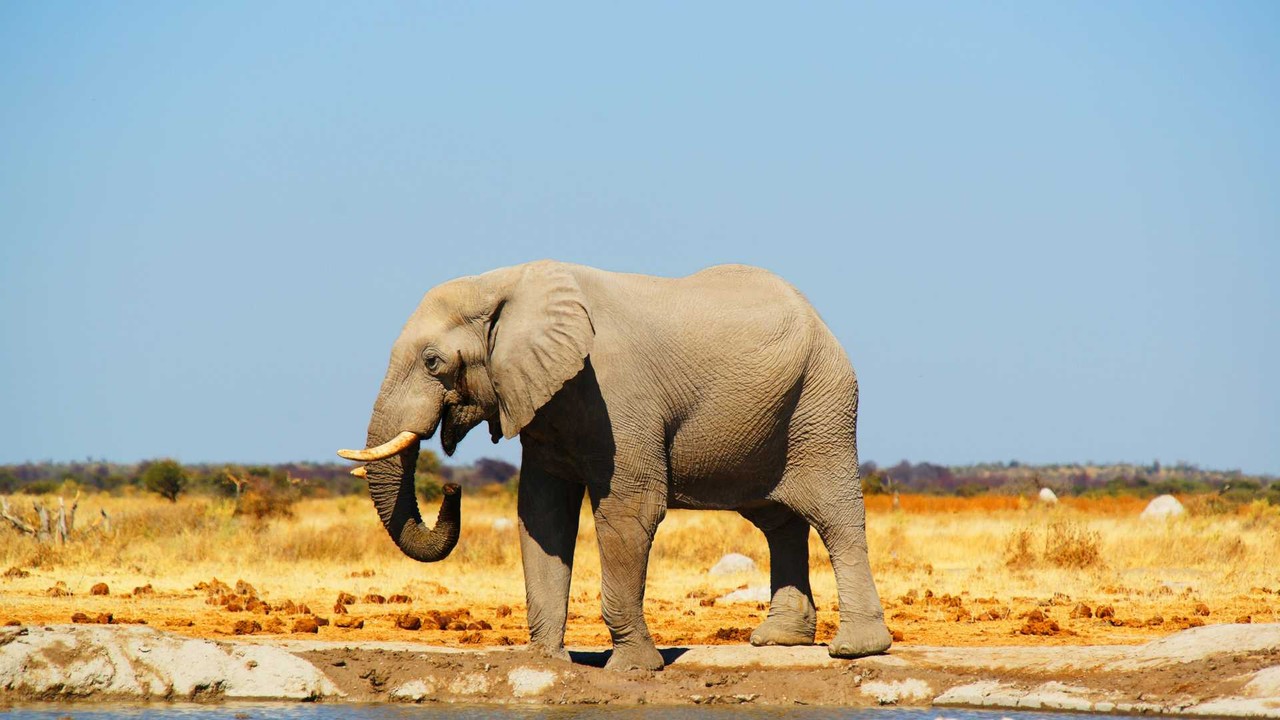 Botswana employee benefits - Professional landscape and employment guidance