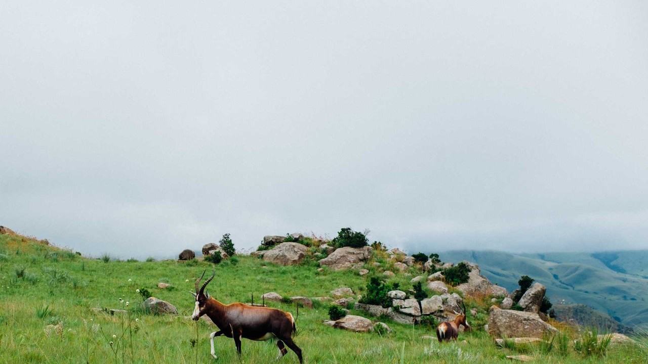 Eswatini employee benefits - Professional landscape and employment guidance