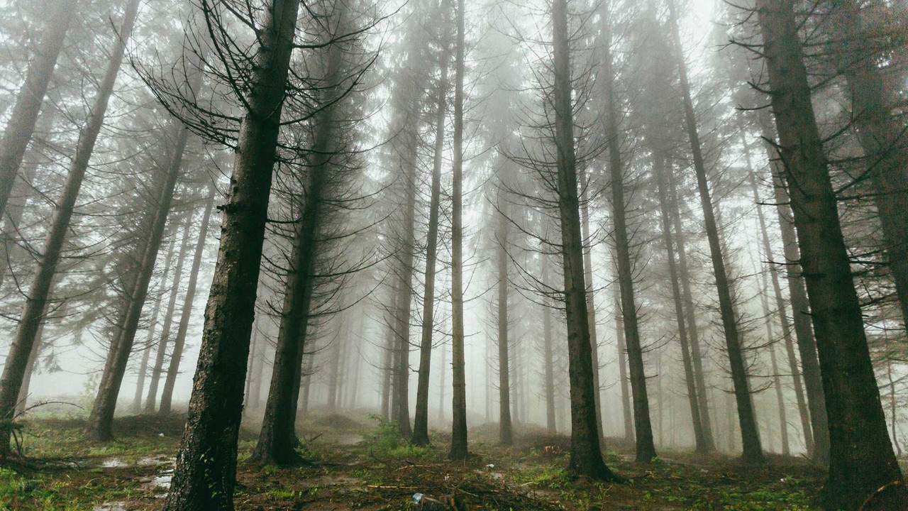 Serbie cultural workplace considerations - Professional landscape and employment guidance