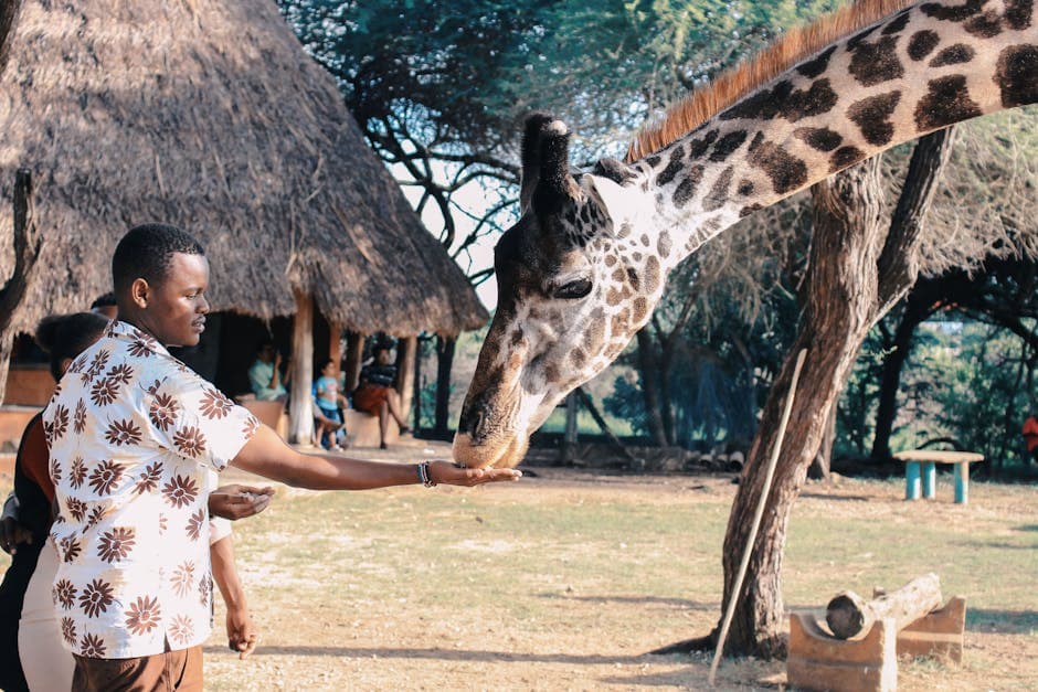 Kenya featured
