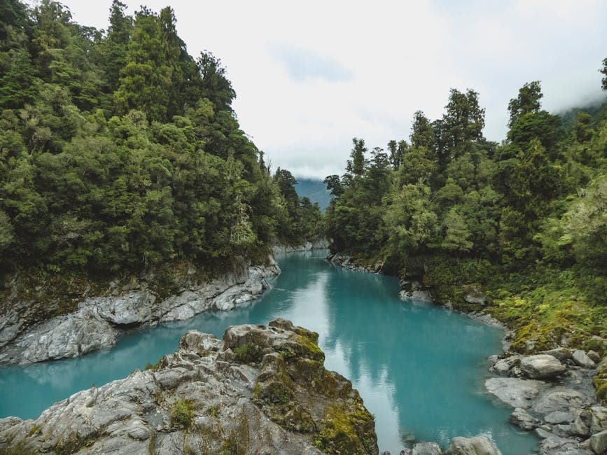 New Zealand featured