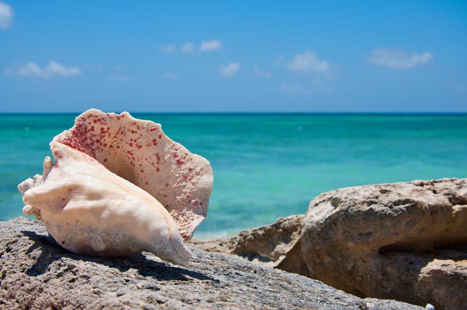 Islas Turcas y Caicos featured