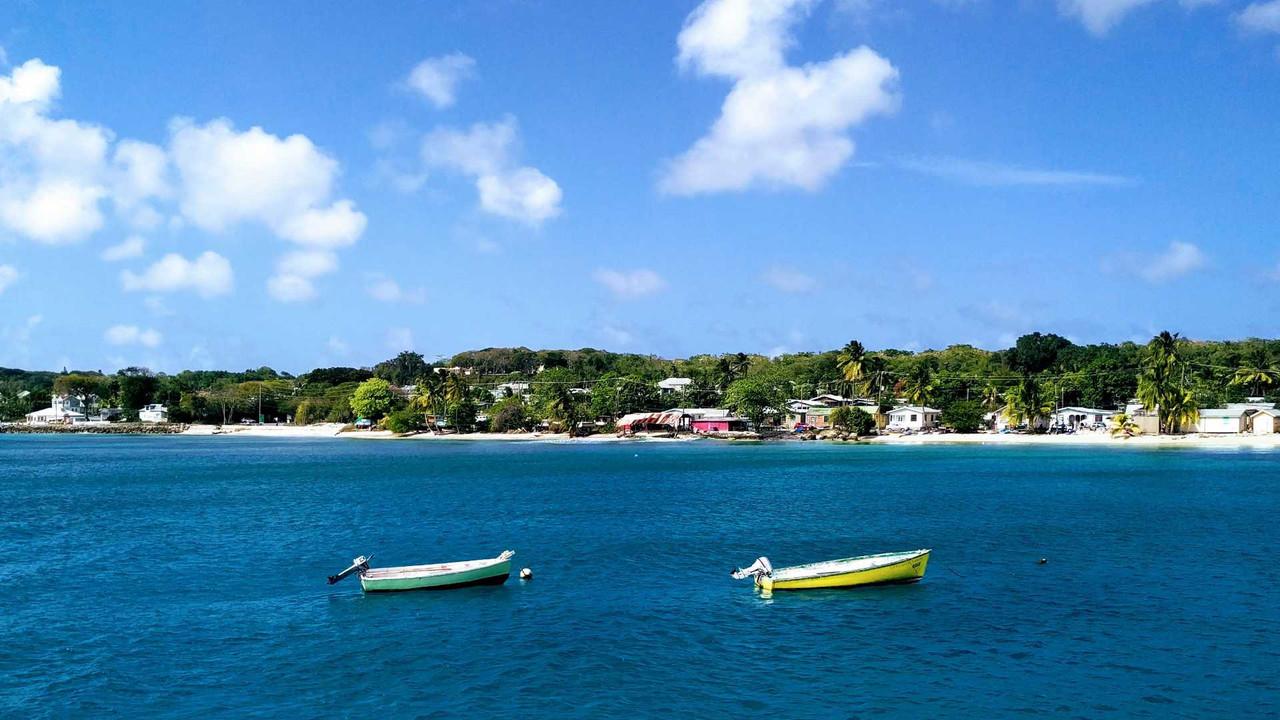 Rivermate | Barbados landscape