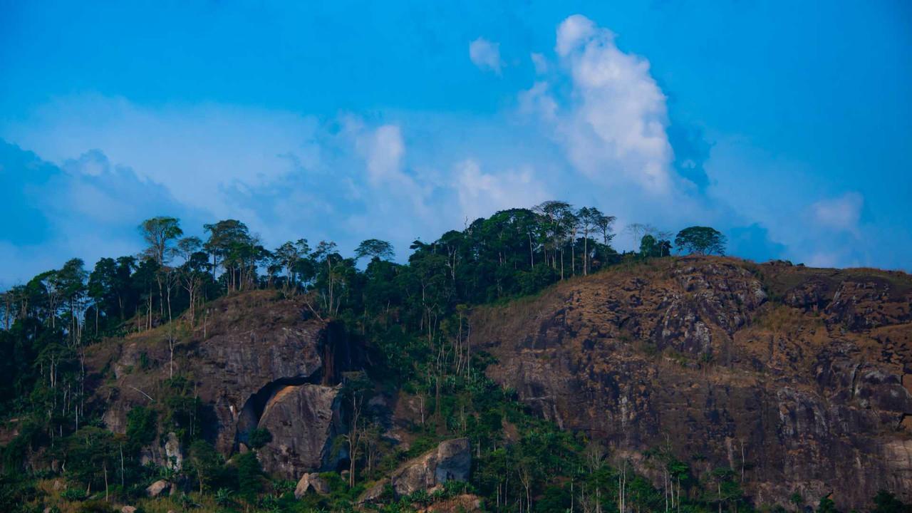 Rivermate | Cameroon landscape