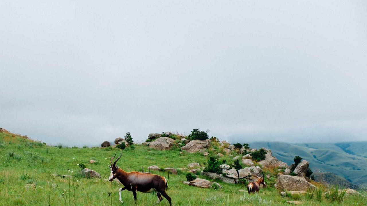 Rivermate | Eswatini landscape