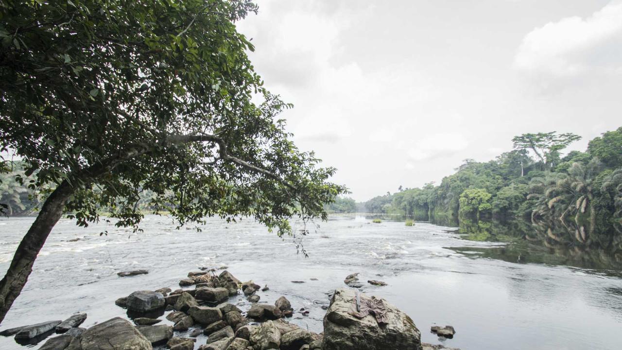 Rivermate | Gabon landscape