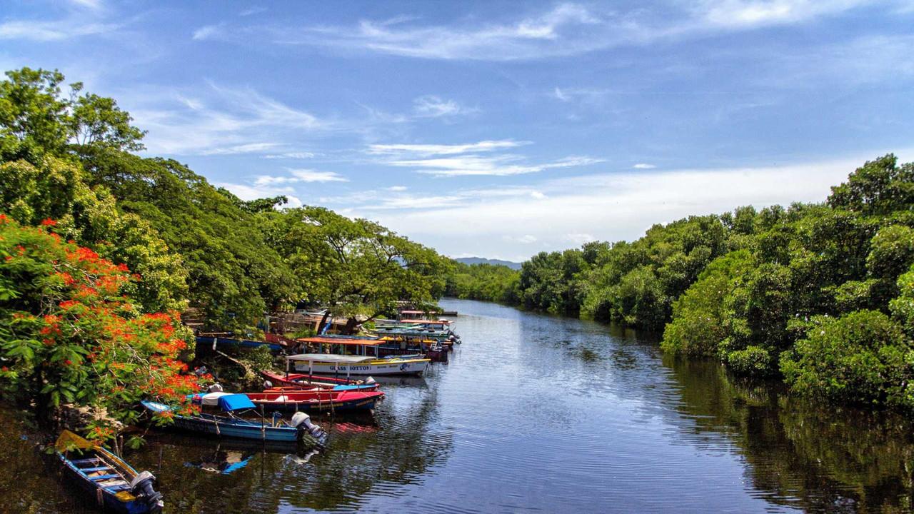 Rivermate | Jamaica landscape