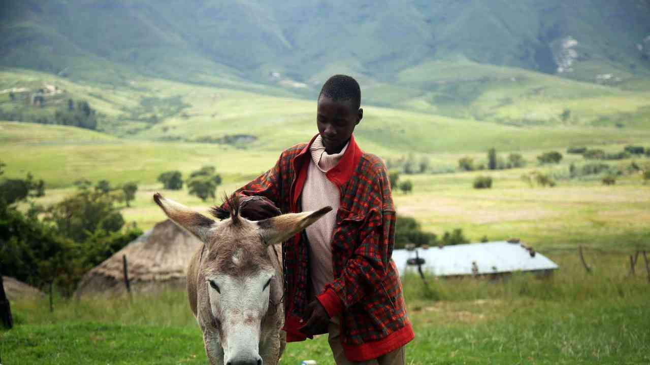 Rivermate | Lesotho