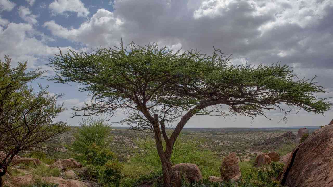 Rivermate | Somalia