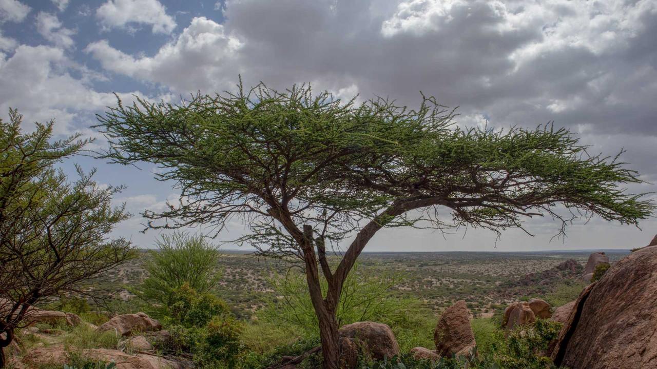 Rivermate | Somalia landscape