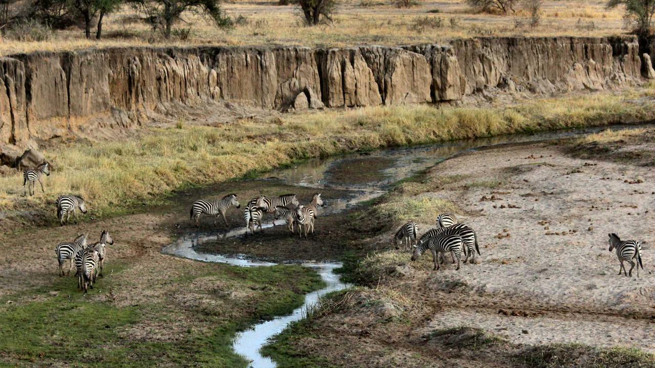 Rivermate | Tanzania landscape