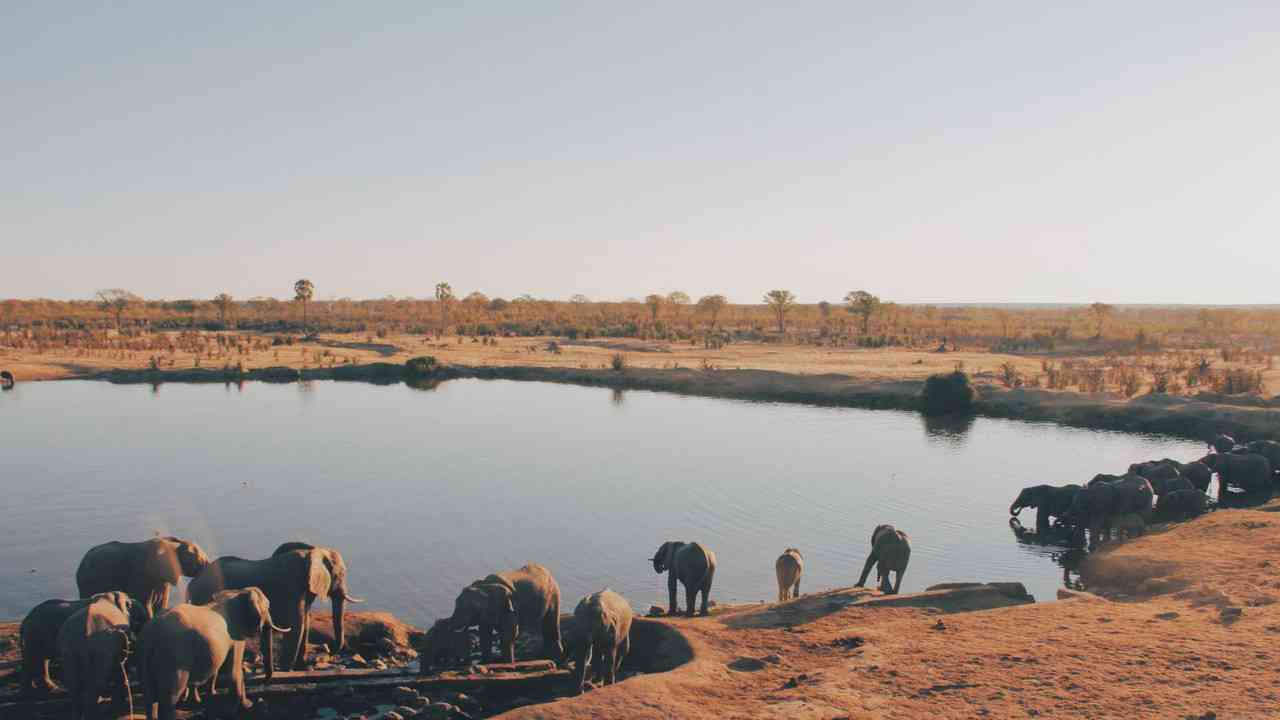 Rivermate | Zimbabwe